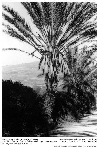 Aufnahme aus Sizilien im Fotoalbum Egon Stoll-Berberichs, Frühjahr 1941, vermutlich im Raum Trapani, Standort der III./St.G.1. NLESB_Kriegsbilder_Album1_0114