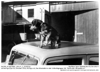 Schlachtgruppe 50, Oktober 1938, Paulsgrund, Das Maskottchen der Schlachtgruppe 50: "Piefke als Herrenfahrer". NLESB_Kriegsbilder_Album1_0050. Schlachtgruppe 50, Oktober 1938, Paulsgrund, Das Maskottchen der Schlachtgruppe 50: "Piefke als Herrenfahrer". NLESB_Kriegsbilder_Album1_0050.
