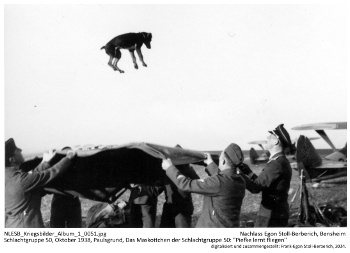 Schlachtgruppe 50, Oktober 1938, Paulsgrund, Das Maskottchen der Schlachtgruppe 50: "Piefke lernt fliegen". NLESB_Kriegsbilder_Album1_0051. Schlachtgruppe 50, Oktober 1938, Paulsgrund, Das Maskottchen der Schlachtgruppe 50: "Piefke lernt fliegen". NLESB_Kriegsbilder_Album1_0051.